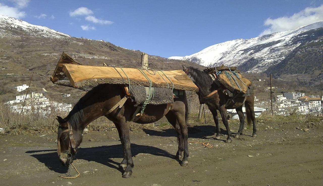 Refugio Alpujarra Alta Acomodação com café da manhã Trevélez Exterior foto