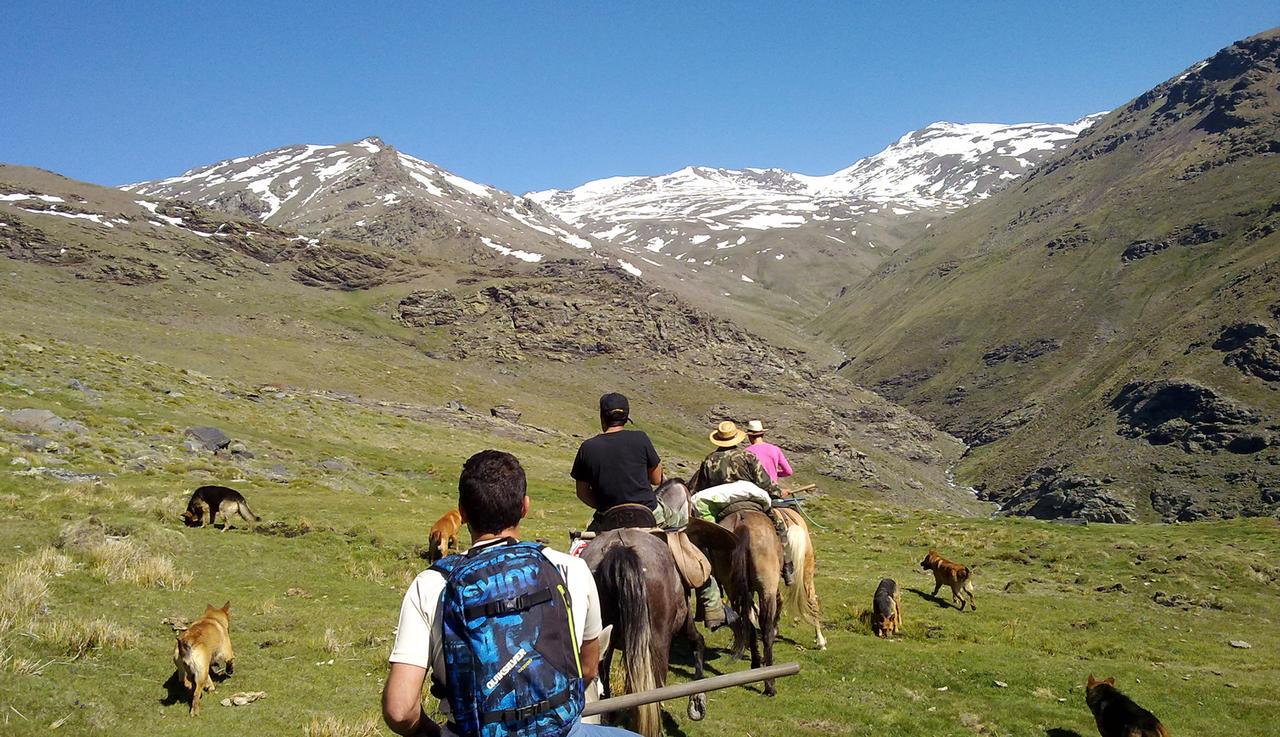 Refugio Alpujarra Alta Acomodação com café da manhã Trevélez Exterior foto