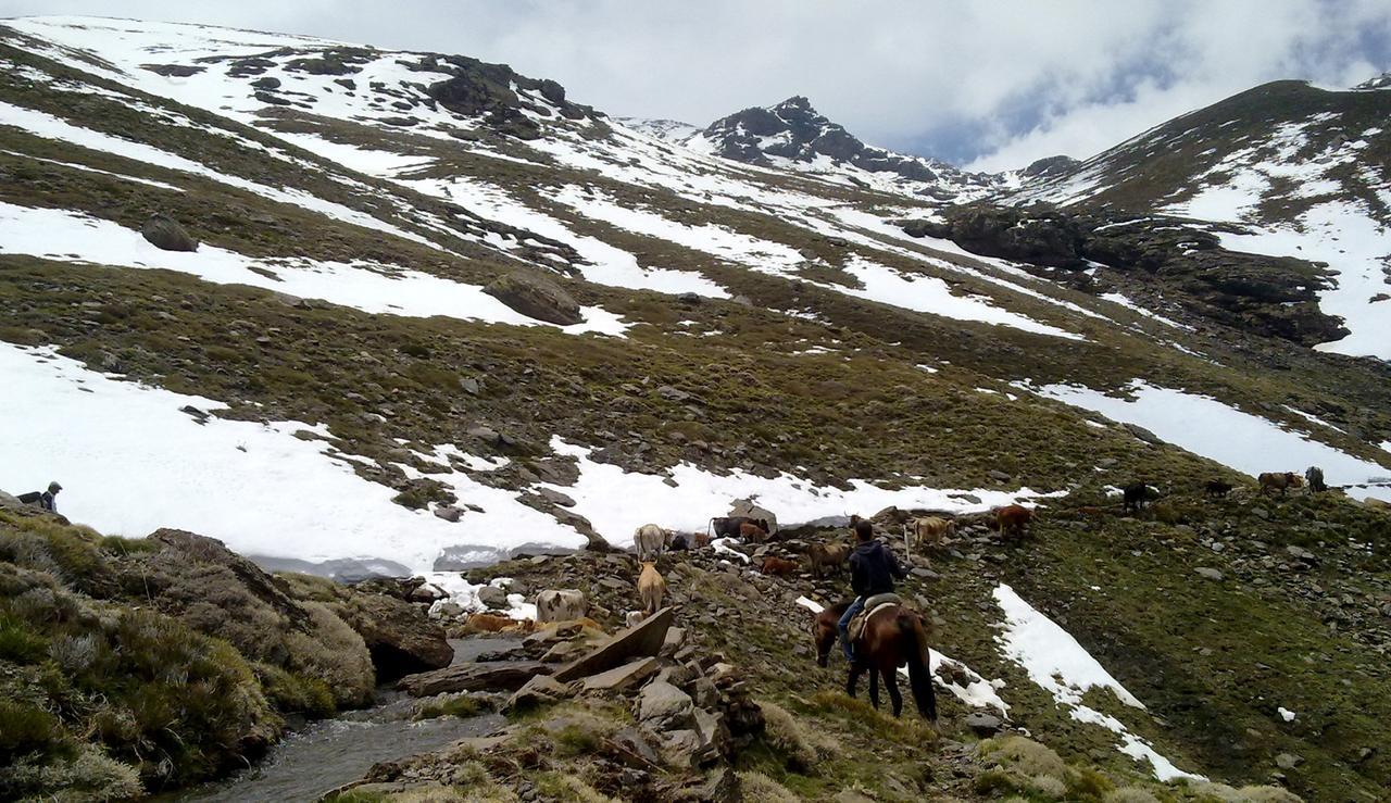 Refugio Alpujarra Alta Acomodação com café da manhã Trevélez Exterior foto