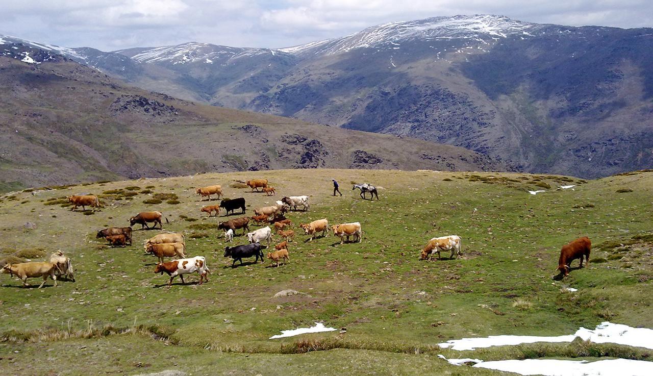 Refugio Alpujarra Alta Acomodação com café da manhã Trevélez Exterior foto